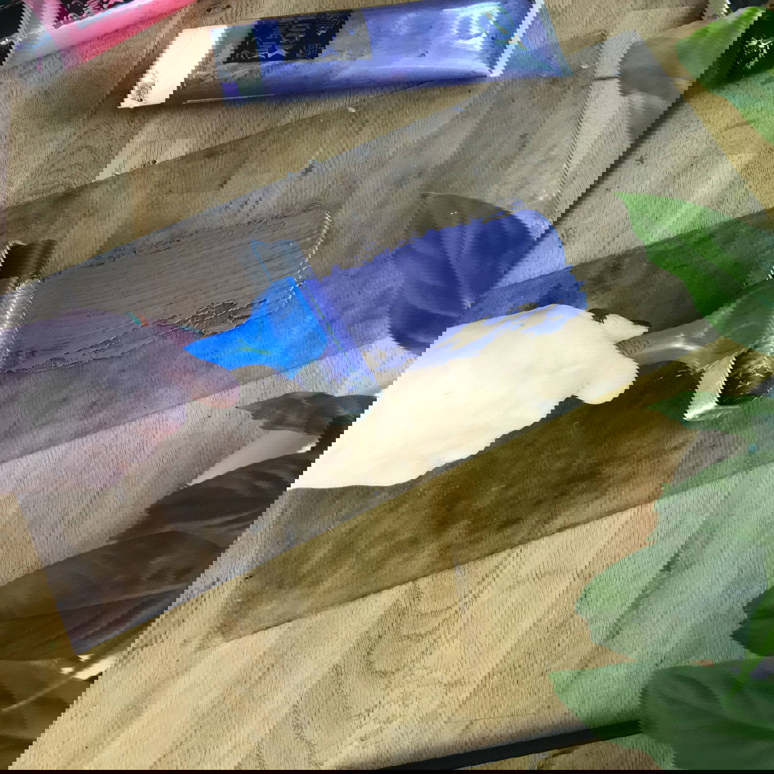 grönt tryckt monsterablad