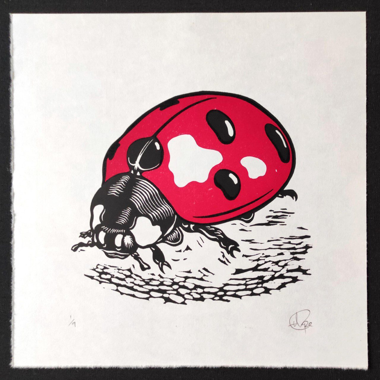 Ladybird linocut blog 14