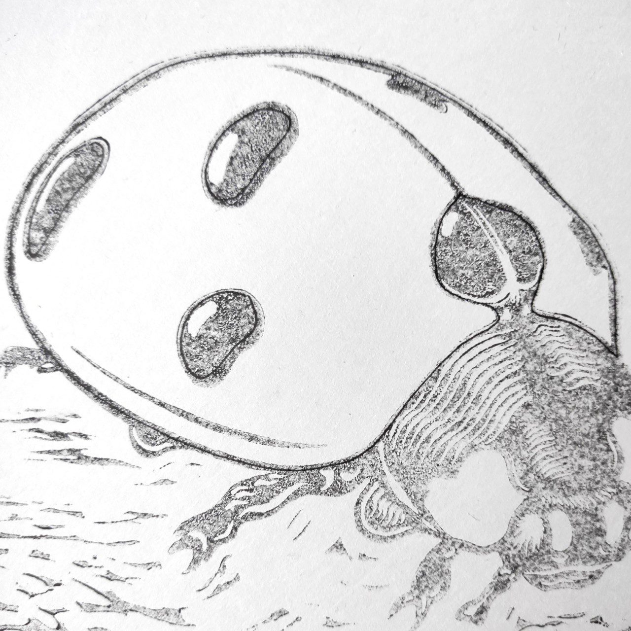 Ladybird linocut blog 7