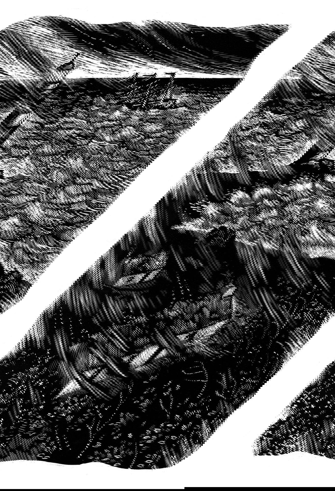 Obra de arte en raspado de una cabeza de león por Keith Sykes