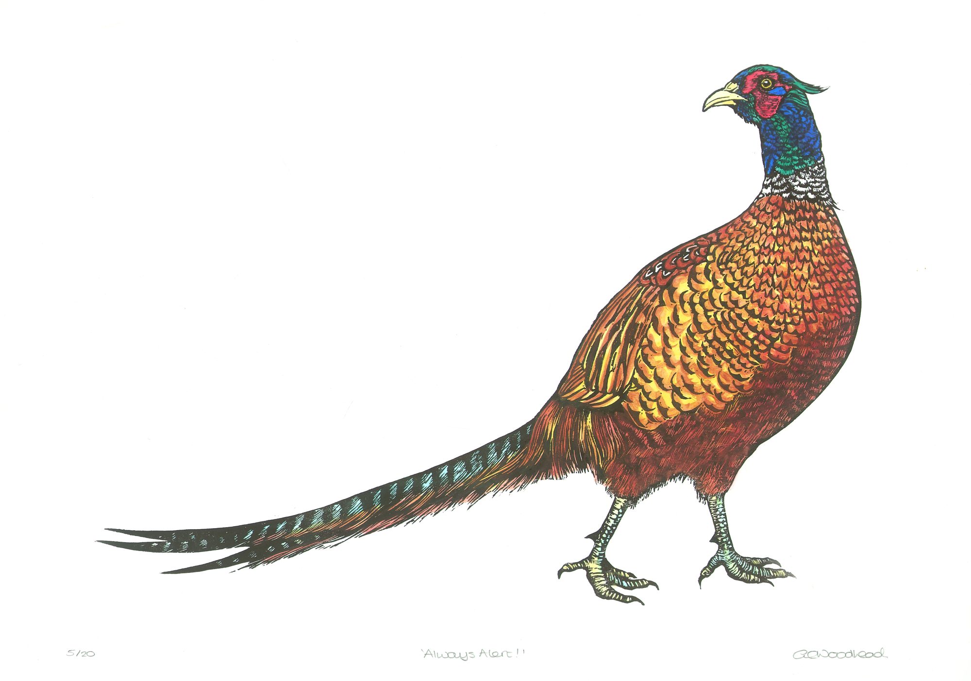 Serie de 3 grabados de la artista Scarlett Rebecca titulada Pasado Presente Futuro