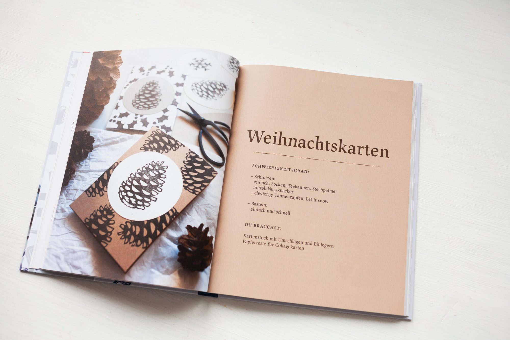 Pinecone linoart inside Nadines' Book