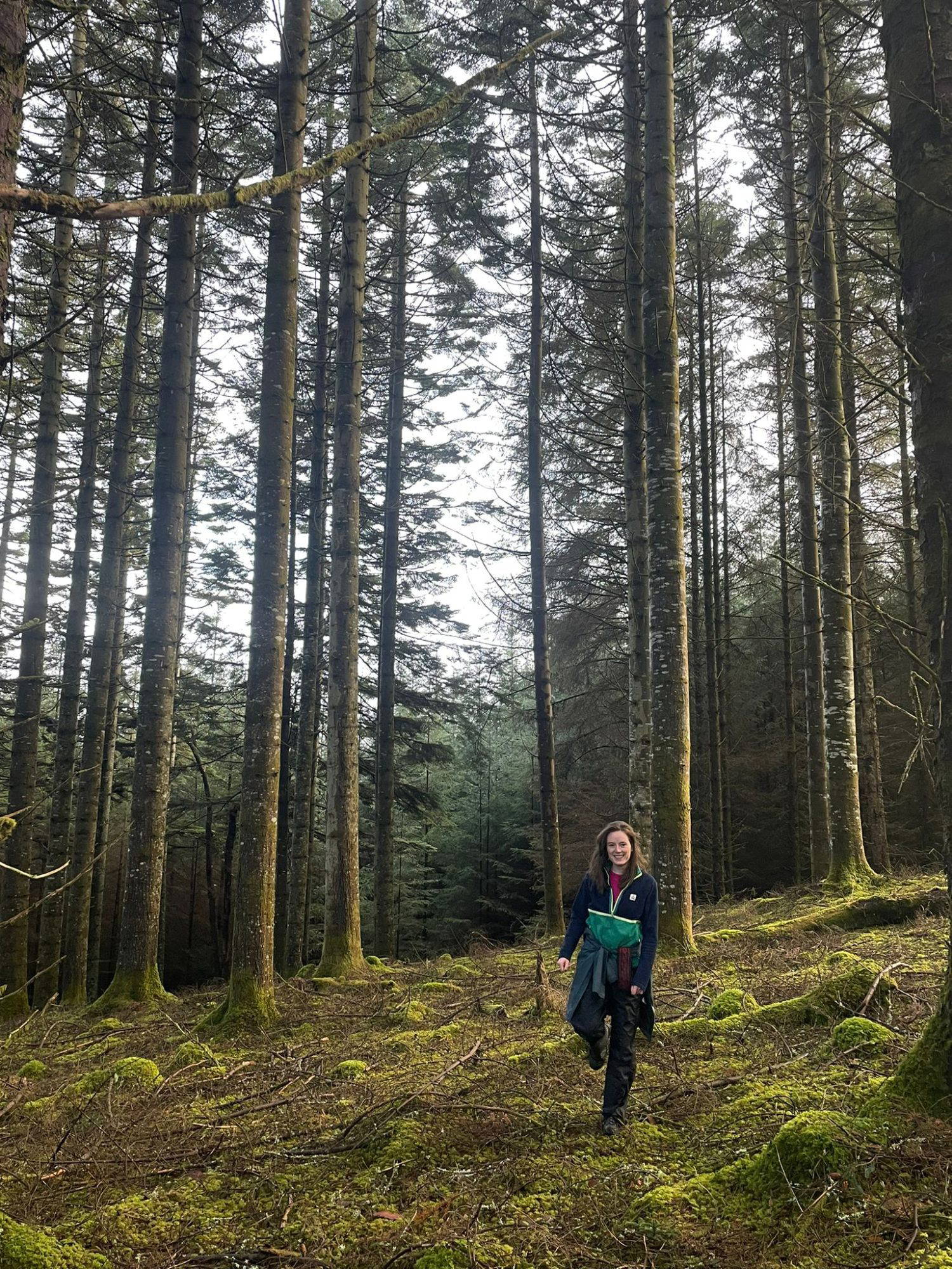 Judith Wild vandrar i skogen, där hon hittar inspiration till sina naturinspirerade linoleumtryck.
