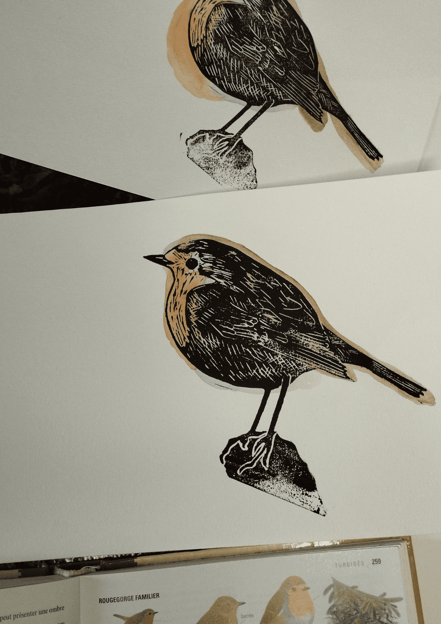 Сара Дюбоск Робін Ліногравюра